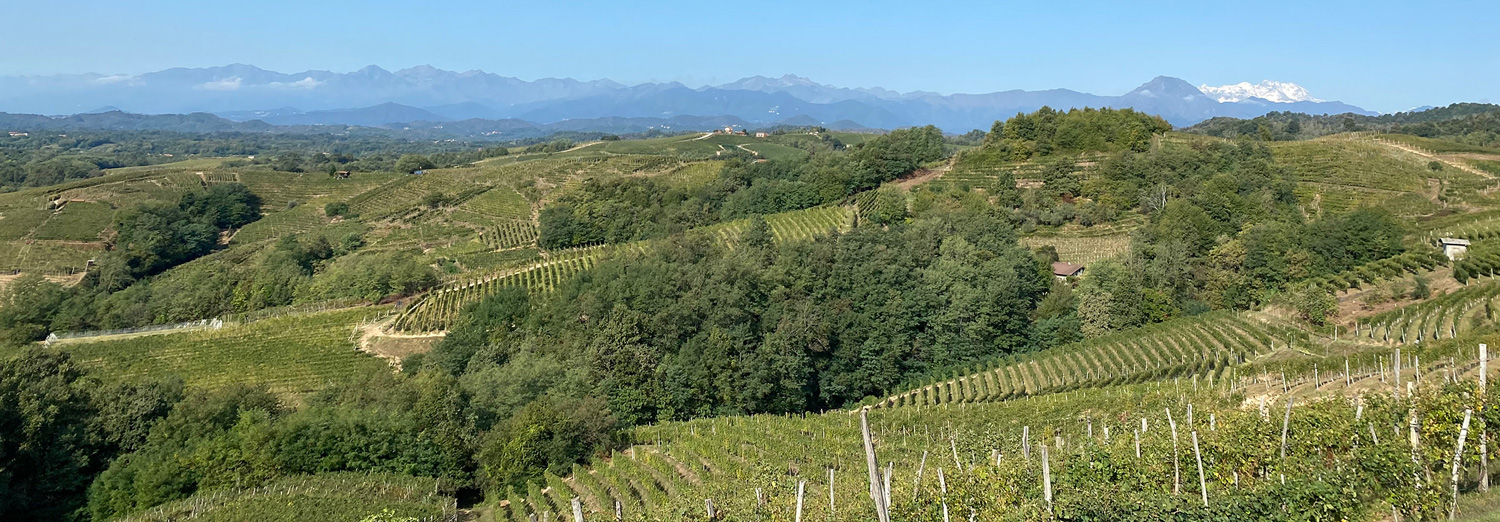 Azienda-agricola-mauro-franchino