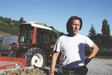 LUCA-BELLANI