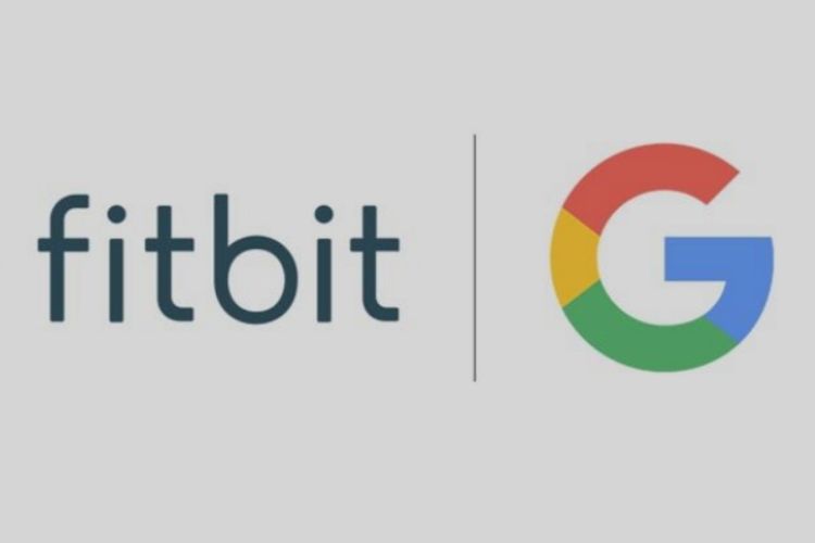 fit-google