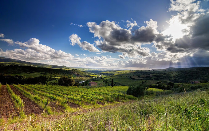 tenuta-buon-tempo