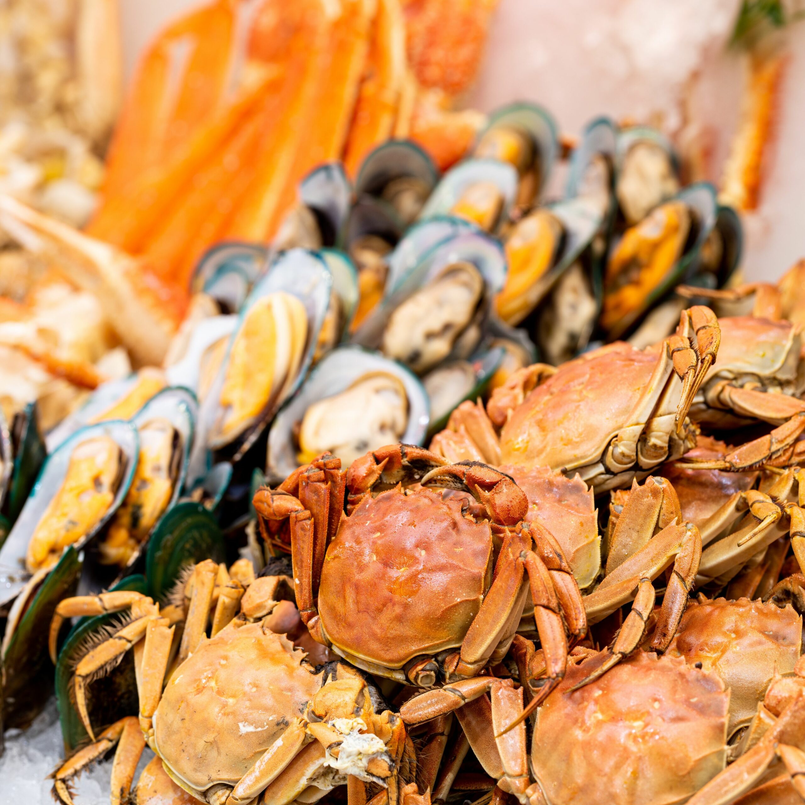 Miglior ristorante di pesce Castiglione della Pescaia